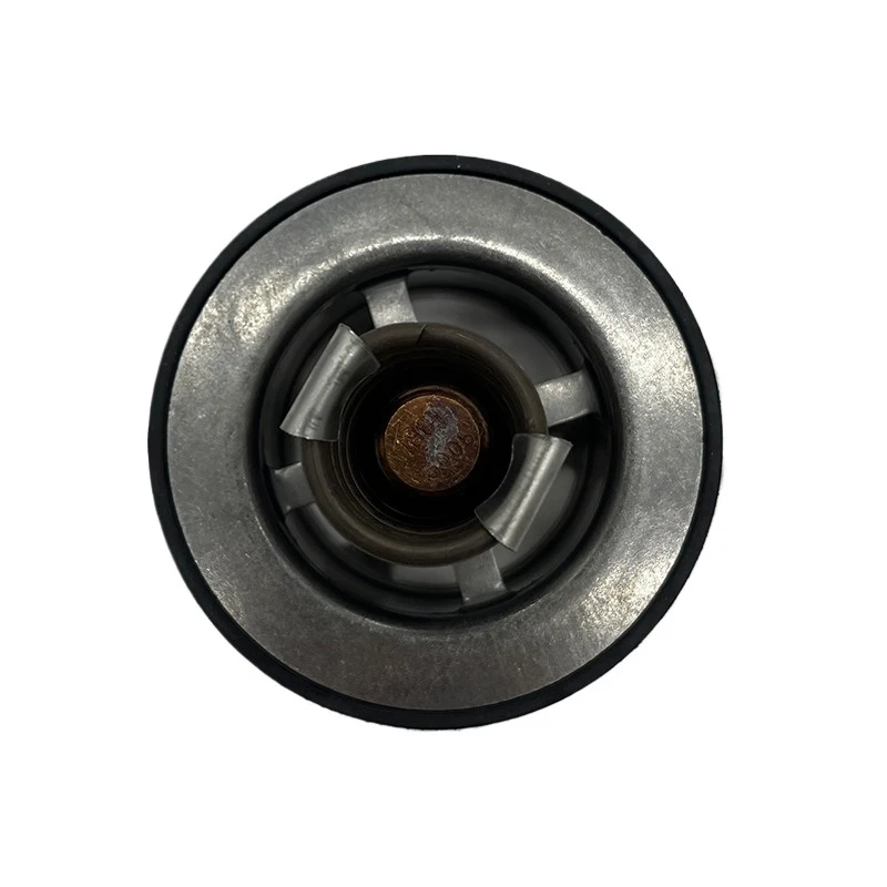 Niversal Fit Cummins Thermostat For 12V/4BT Best Performance On 6.7L / 4318947 suppliers